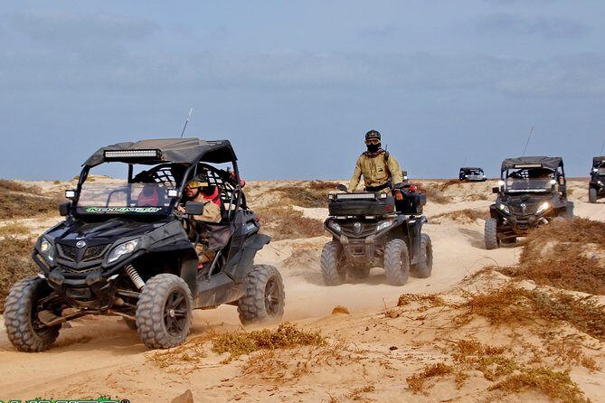2h SSV Buggy Desert Adventure - 1000cc or 500cc - Ponta Preta Beach: black volcanic rock in winter, gold sand in summer