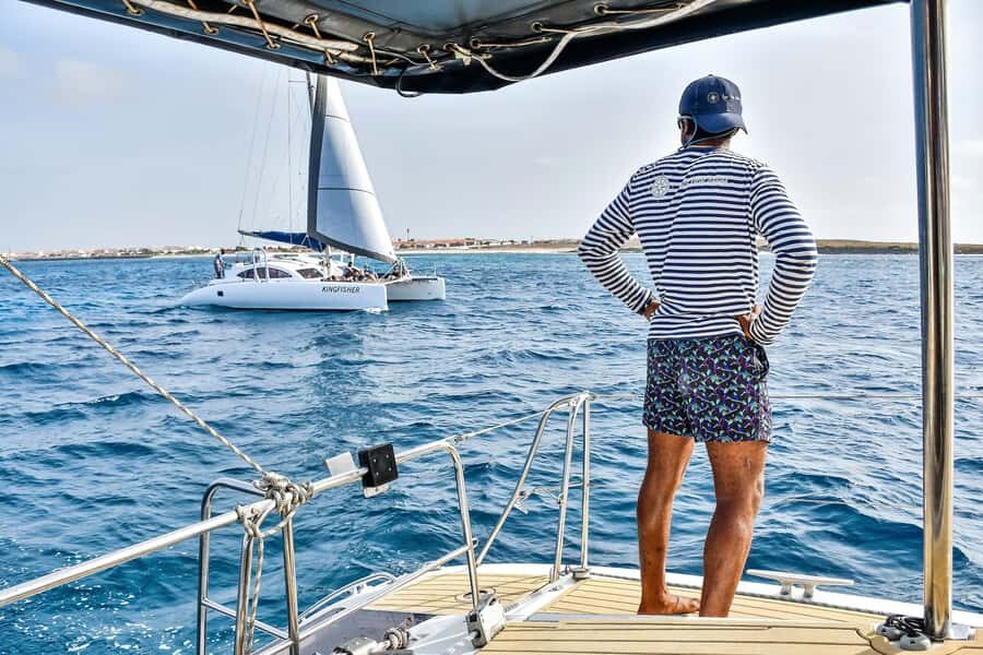 3-hour Catamaran Adventure on the waters of Sal Island - Wildlife Odds on Sal: Dolphins, Turtles, and the Nature Reality Check