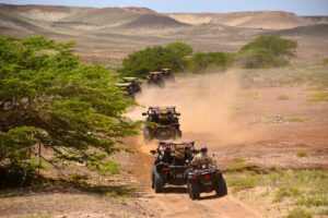 4h SSV Buggy Island Adventure - 1000cc or 500cc - The ride reality: pickup, seatbelts, and the bumpy fun factor