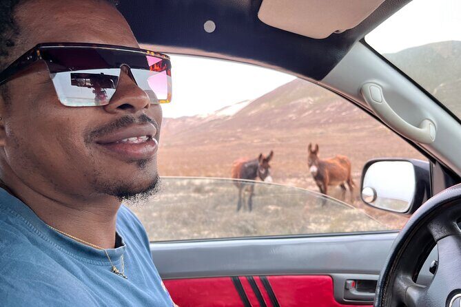 4WD Boa Vista group day tour south and north with sandboarding - Lunch at Bahia Beach Club or Casa Rosa: choose the meal, keep the pace