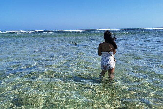 All inclusive full-Day Tour in Sal Island (Lunch and all fees included) - Palmeira fishing village: the port-side pulse of Sal
