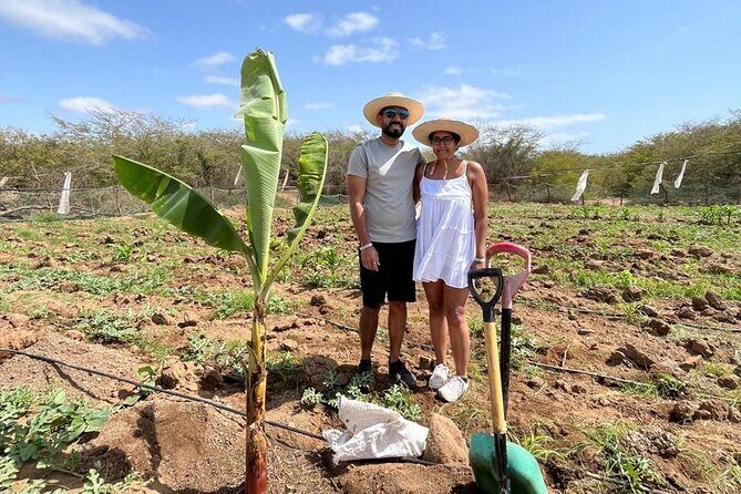 ALL-INCLUSSIVE Cabrer Journey-Live a day like a Cabrer-BoaVista - On the farm with a family: goat care and rural routines