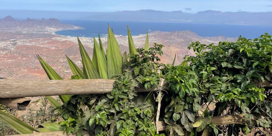 Beaches, Villages and Monte Verde (excludes city) - Calhau’s agricultural valley: animals, wells, old iron windmills, and lunch