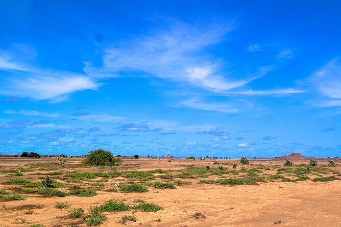 BEST VALUE small group island tour w/SHARK experience & salt lake - Terra Boa mirage and a quick look at a less-developed Sal town