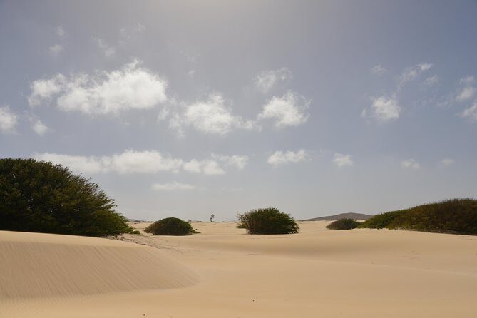 Big Boa Vista Exclusive Tour - Praia de Varandinha and Praia de Santa Mónica: Cliffs, Caves, and Long Beach Time