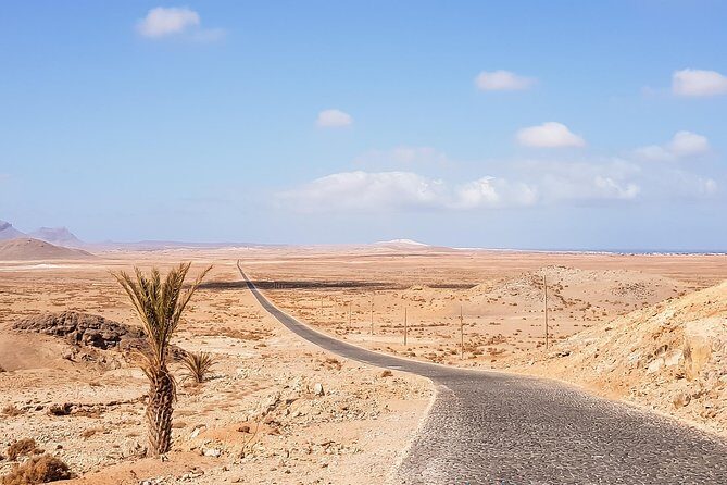 Big Boa Vista Exclusive Tour - Price and Value: What $92.92 Buys You on This 9-Hour Day