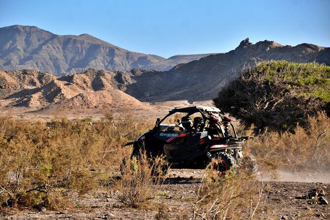 Boa Vista 2h Buggy Death Valley Adventure 1000cc - Key highlights at a glance