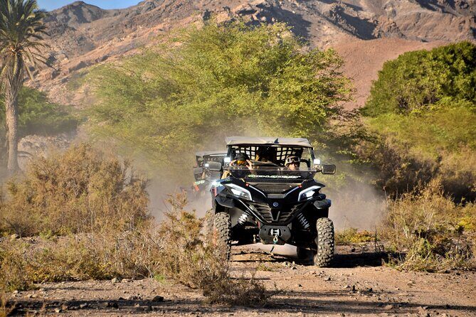 Boa Vista 2h Buggy Death Valley Adventure 1000cc - Crossing the Cape Verdean Death Valley and the mid-desert oasis stop