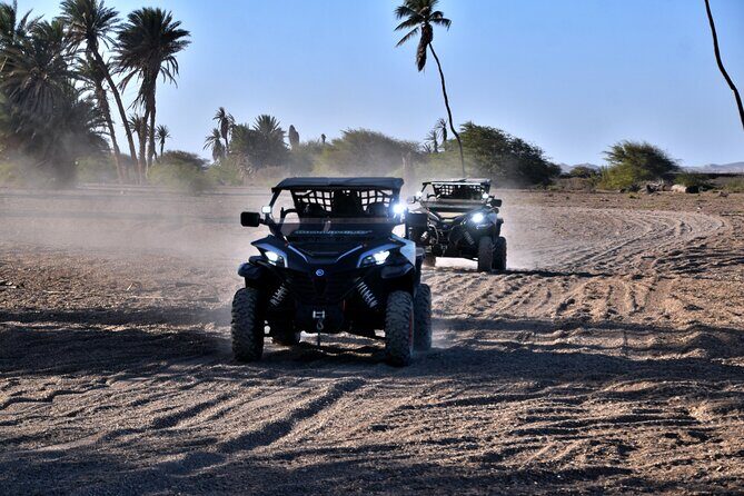 Boa Vista 2h Buggy Death Valley Adventure 1000cc - Fonte Vicente and the Baobab Tree: how the second half changes pace