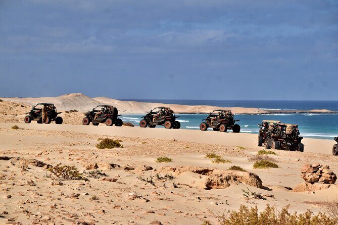 Boa Vista 4h South Buggy Adventure 1000cc - Morro de Areia and Praia de Verandinha’s cliff arch