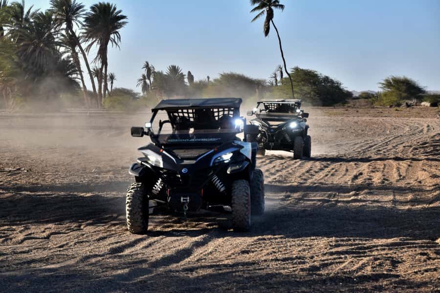 Boa Vista Buggy Tour: Death Valley Adventure (2-Hour) - Fonte Vicente and the Baobab Tree: the wrap-up that earns its photo time