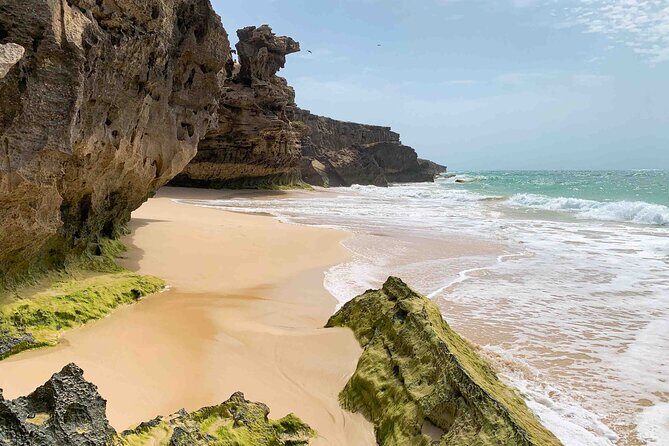 Boa Vista Island: Full Day North to South Discovery - Key highlights worth your time