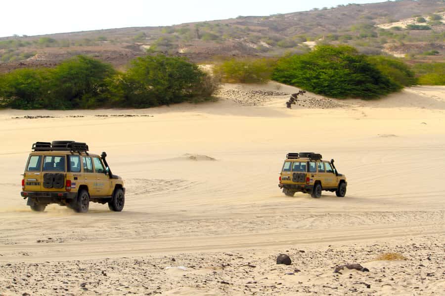 Boa Vista Jeep Expedition: Santa Monica & Desert (4-Hour) - Key things I’d bet you’ll care about
