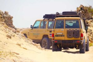 Boa Vista Jeep Expedition: Shipwreck & Viana Desert (4-Hour) - Via Pitoresca oasis track and Ponta do Sol viewpoints