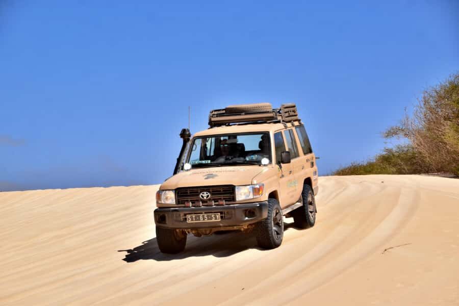 Boa Vista Jeep Expedition: Shipwreck & Viana Desert (4-Hour) - Who this tour fits best (and who should skip it)