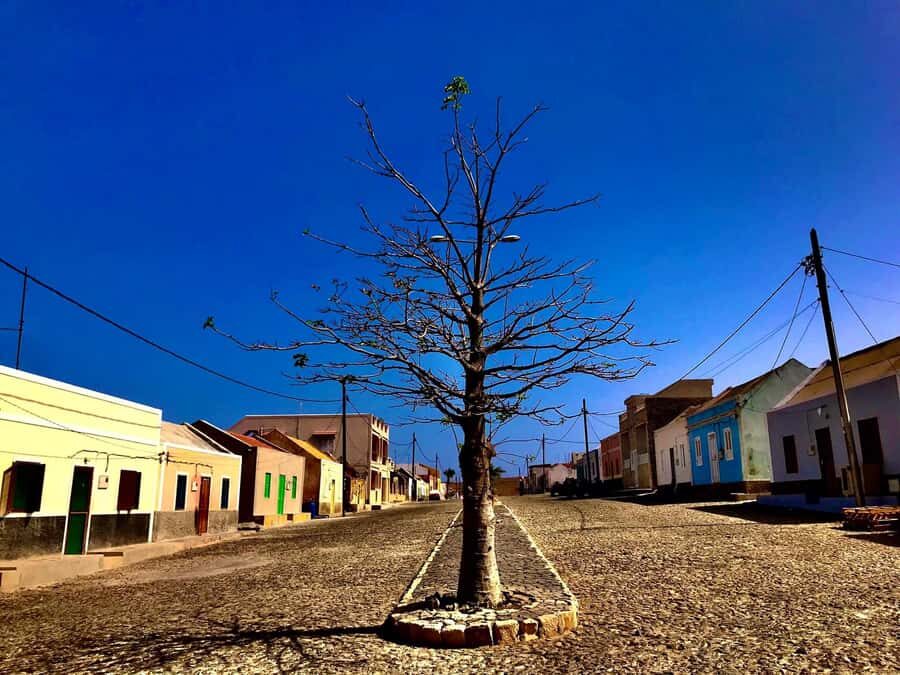 Boa Vista: Santa Monica, Dunes, Caves and Village 4x4 Tour - Should you book this 4x4 South tour?