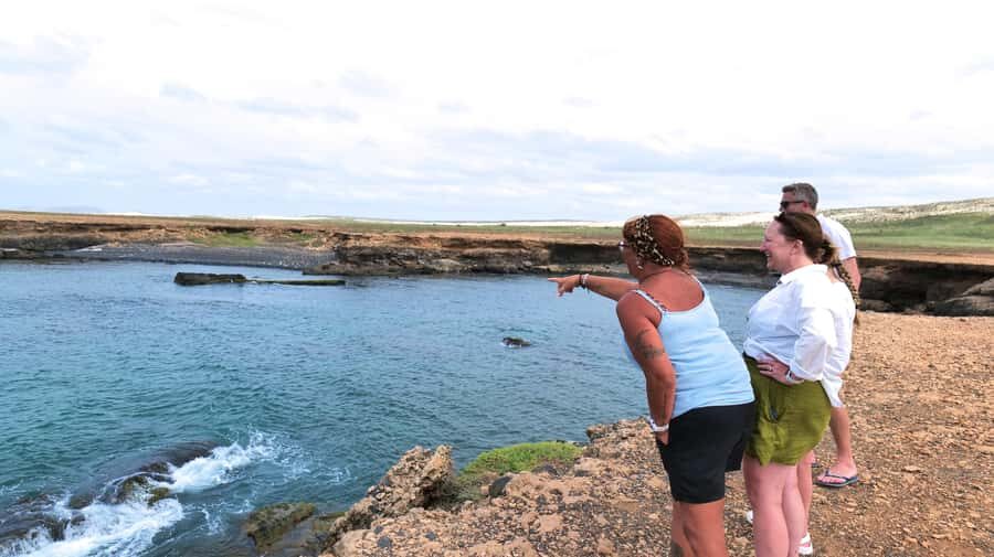 Boa Vista: Shark, Turtles, Cave, Sandboarding & Tasting Tour - Santa Monica beach: the pause that makes the tour feel worth it