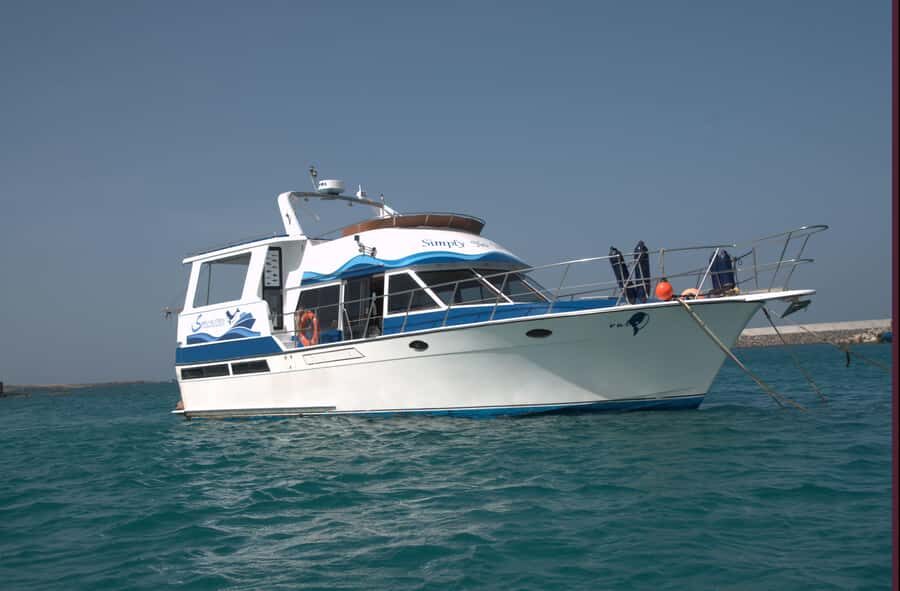 Boa Vista: Whale Watching Trip with Motoryacht - The Motoryacht Ride: What the 3 Hours Feel Like