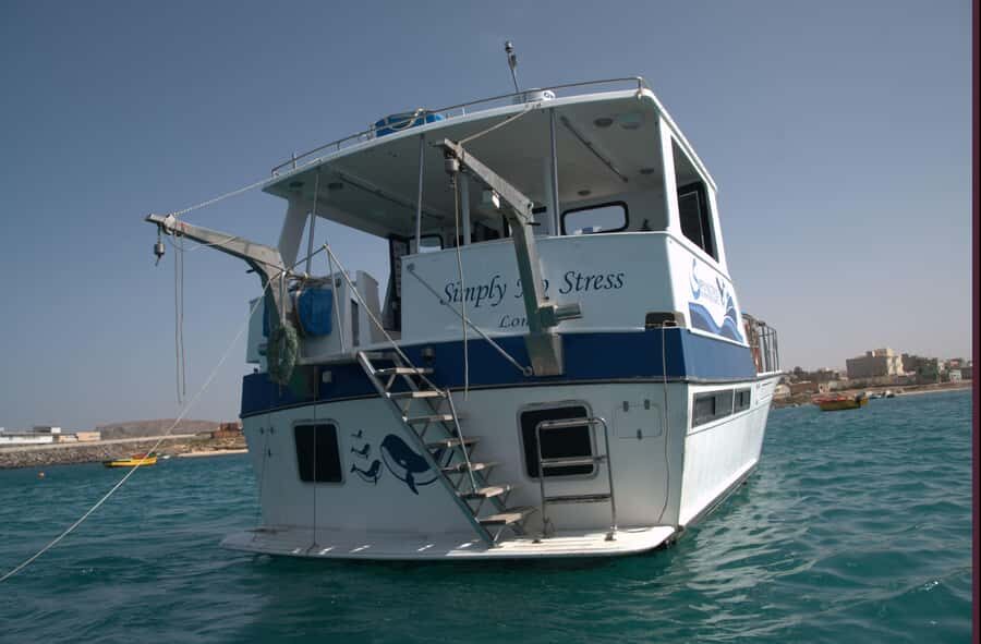 Boa Vista: Whale Watching Trip with Motoryacht - What You’re Actually Searching For