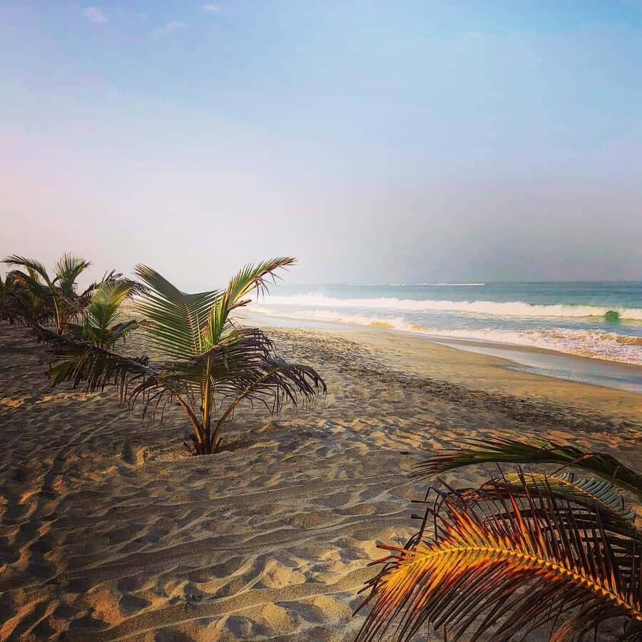 Boavista: Santa Monica beach, Varandinha cave, Sand dunes - Sal Rei city center: when the route includes market life