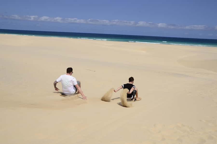 Boavista: Turtle, Shark, Santa Monica, Sandboard & Tasting - Lemon Shark Checks at Baía de Tubarão: Odds Change With Tide and Sea Level