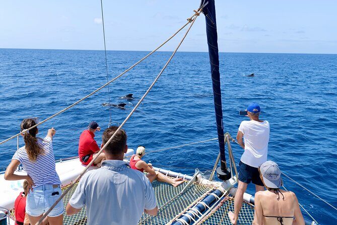 Catamaran Half Day - Beautiful day on the Atlantic Ocean - Getting Aboard in Santa Maria: The Real-World Transfer and Meeting Point