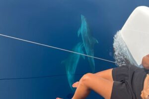 Catamaran Half Day - Beautiful day on the Atlantic Ocean - Swim and Snorkel Gear Off the Atlantic: Expectations That Won’t Let You Down