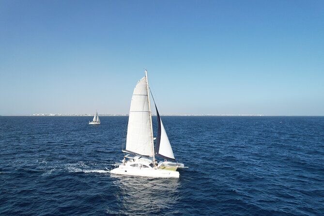 Catamaran Half Day - Beautiful day on the Atlantic Ocean - Price and Value: Does $68.36 Per Person Make Sense?