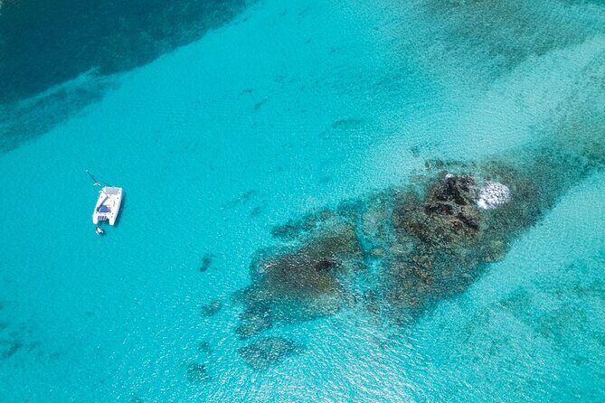 Catamaran Sailing Tour or Whale Watching at Boa Vista - Key things that make this tour worth your time