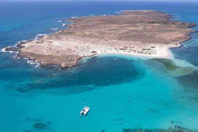 Catamaran Sailing Tour or Whale Watching at Boa Vista - Praia do Estoril transfers: the short start that sets the tone