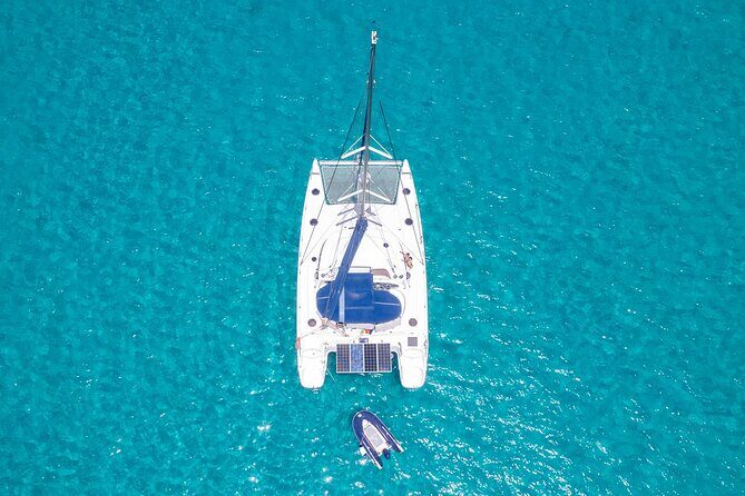 Catamaran Sailing Tour or Whale Watching at Boa Vista - Price and value: does $84.92 make sense?
