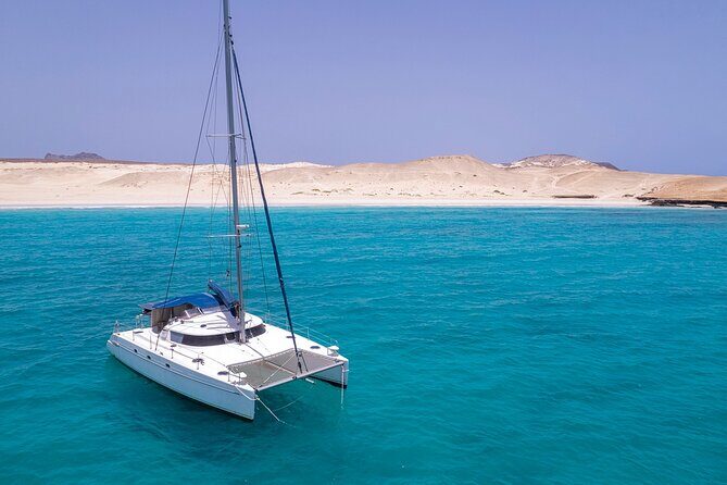 Catamaran Sailing Tour or Whale Watching at Boa Vista - Who this catamaran experience is best for