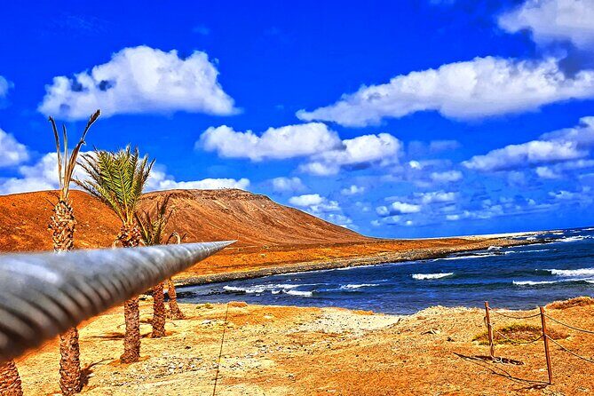Complete Excursion and Flight on the Zipline Cabo Verde - The 100-meter aperitif and the live Morabeza music finish