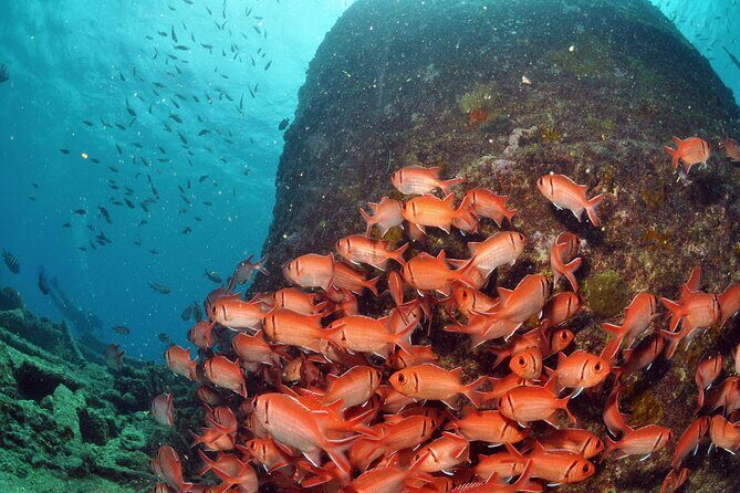 Discover Scuba Diving in Sal - Making the Most of Your Try-Scuba Day