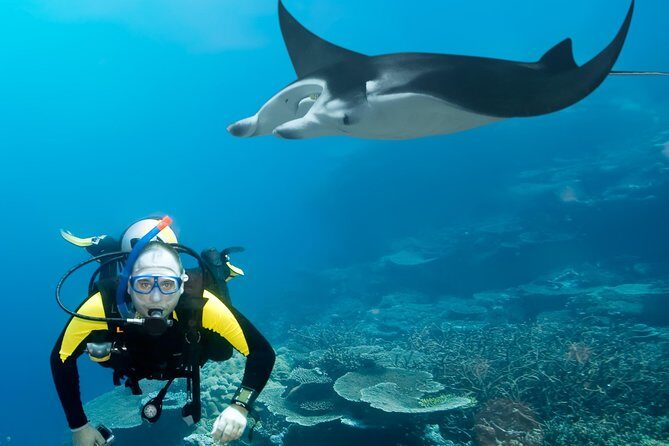 Double Diving in Sal Island - Half Day - Weather Reality Check: Windy Season Can Mean a Rougher Ride