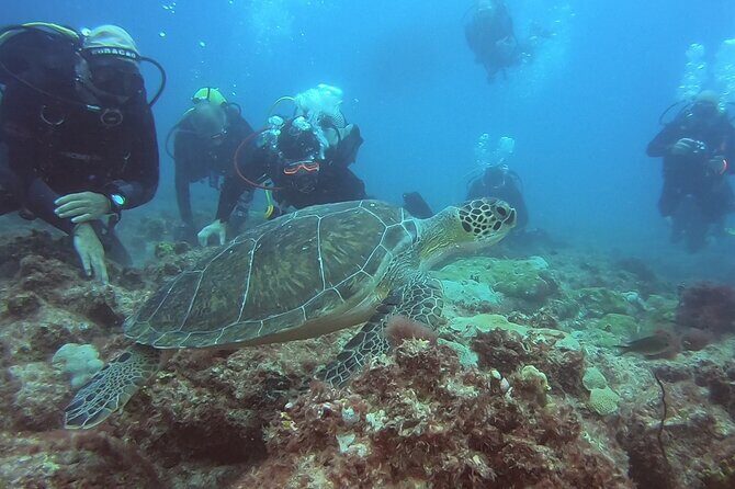Double Diving in Sal Island - Half Day - Small Groups and Real Instructor Guidance