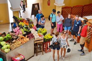 Electric Beach Bike - Guided Tour in Sal Island - Pedaling Past Salt Mines, Dunes, and Coastal Backroads