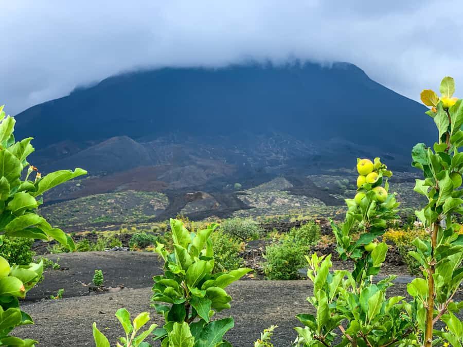 Fogo Island: Pico do Fogo Volcano Summit Hike - Pico do Fogo Summit Hike: Why This Volcano Day Matters