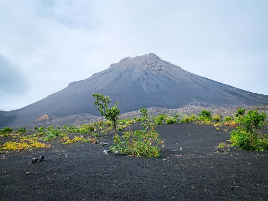 Fogo Island: Pico do Fogo Volcano Summit Hike - The 3–4 Hour Ascent: Reaching 2829 Meters Without Burning Out
