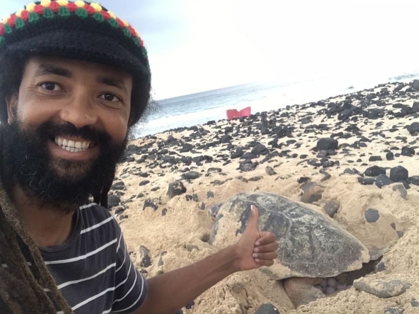 From Boa Vista: Turtle Watching and Nesting Evening Tour - Price and Value: Is $94 Worth It?