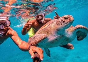 From Mindelo: São Vicente's Enchanting Sea Turtle Snorkeling - The short boat ride to the turtle area