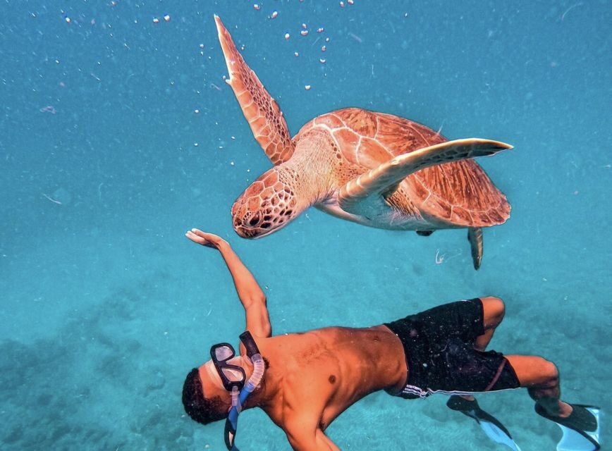 From Mindelo: São Vicente's Enchanting Sea Turtle Snorkeling - Who should book this turtle snorkeling tour?
