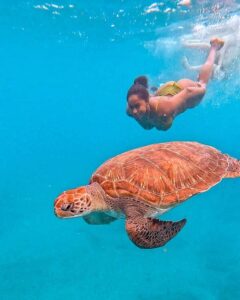 From Mindelo: Snorkel and Swim with Sea Turtles - The briefing that actually matters: safety first, fun second