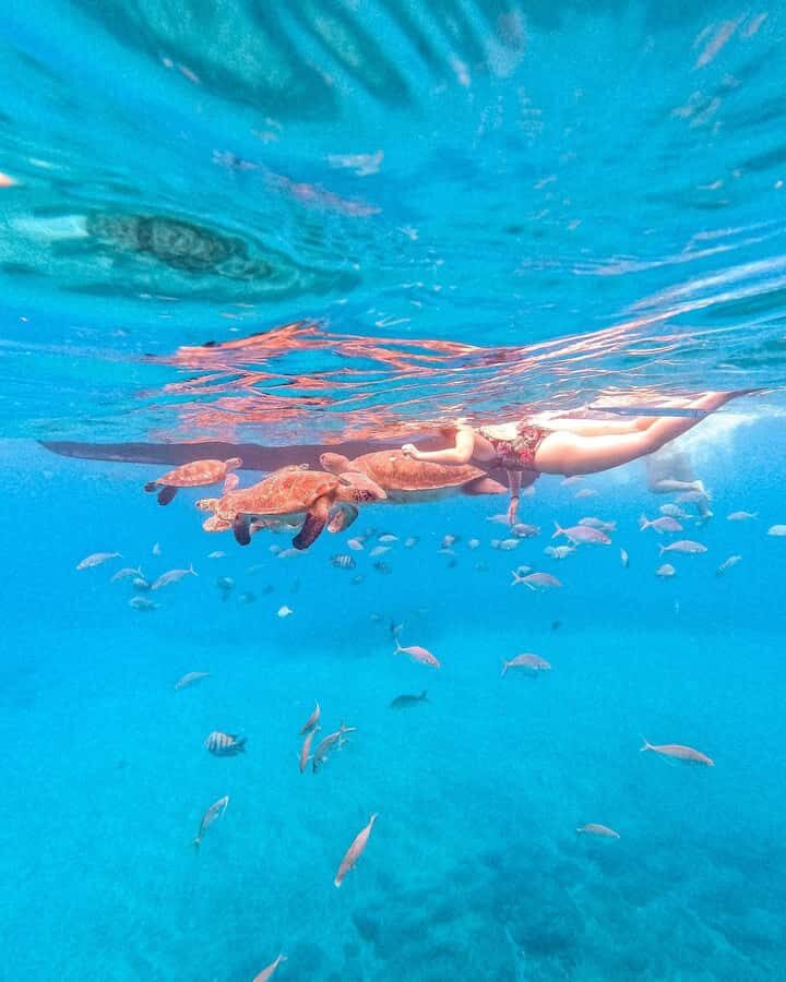 From Mindelo: Snorkel and Swim with Sea Turtles - The wooden boat ride: short, local, and easy
