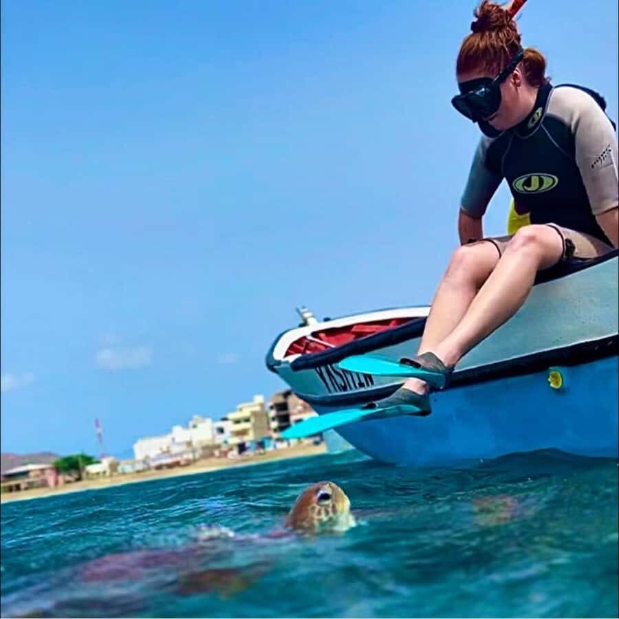 From Mindelo: Snorkel and Swim with Sea Turtles - What the turtle moment feels like when they approach