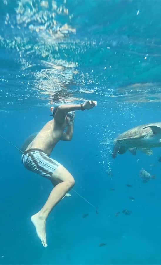 From Mindelo: Snorkel and Swim with Sea Turtles - Small group (up to 9): why it improves your turtle view