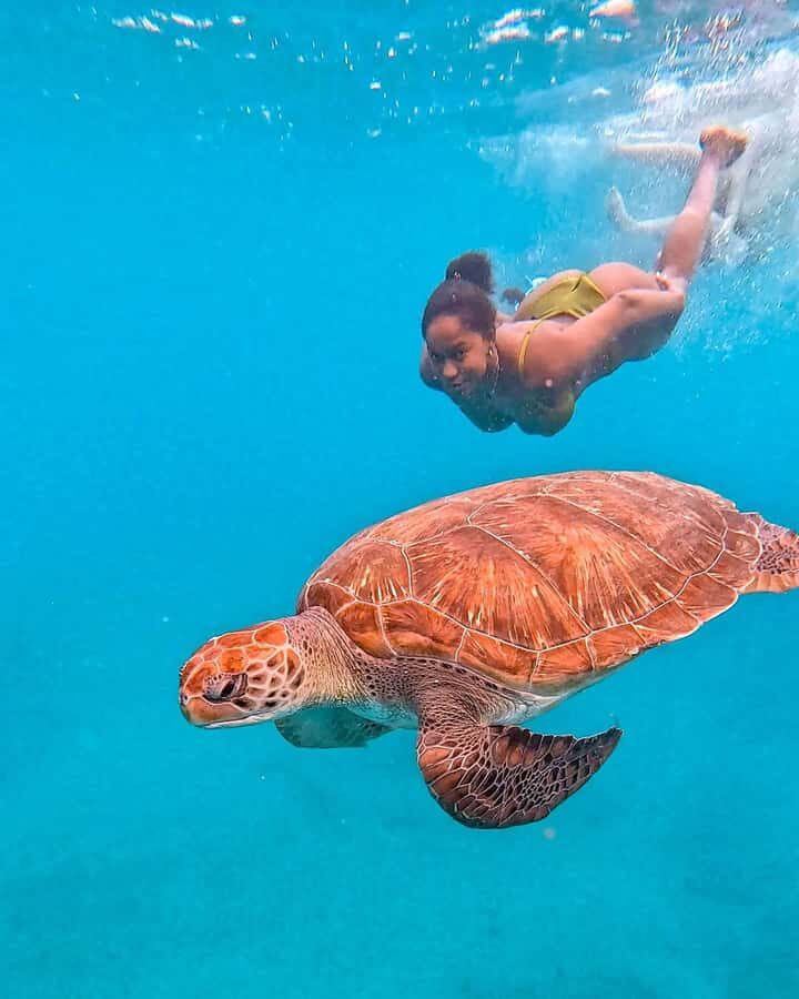 From Mindelo: Snorkel and Swim with Sea Turtles - The briefing that actually matters: safety first, fun second