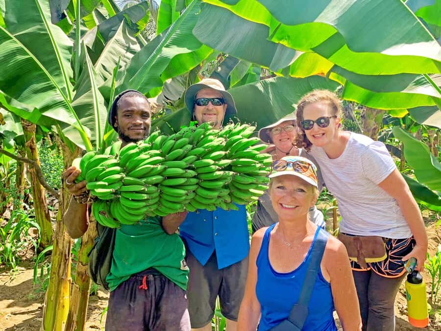 From Praia: Banana Plantation Tour and Cuscuz Workshop - Banana and cornmeal: what this 4-hour Santiago morning really delivers