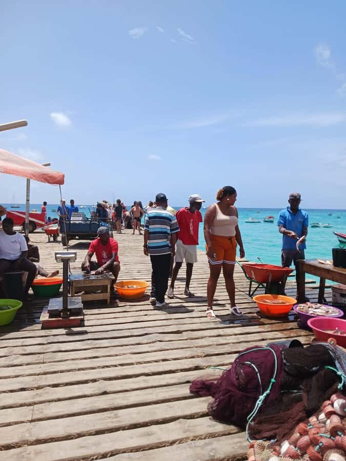 From Sal Island: Blu eye, Salt lake, Lemon Sharks & Palmeira - Price and logistics: what your $35 covers, and what you should budget extra