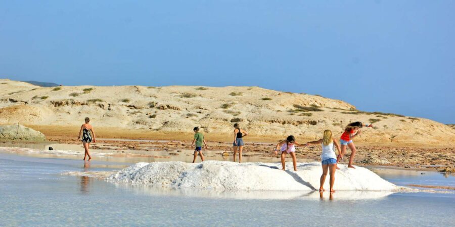 From Sal Island: Blu eye, Salt lake, Lemon Sharks & Palmeira - Espargos lunch time and a viewpoint stop that helps everything click